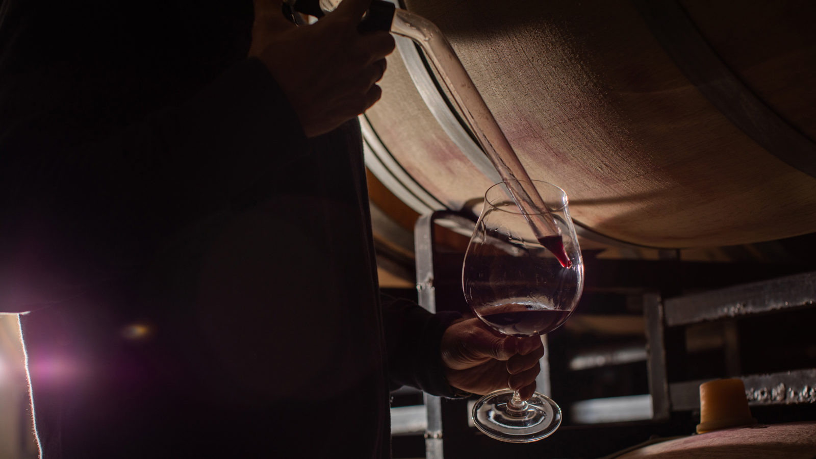 winemaker thieving wine from barrel